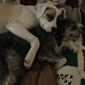 Meet your Posher, Beverley n wayne